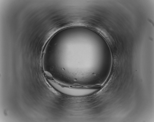 X0000098161236200804171551