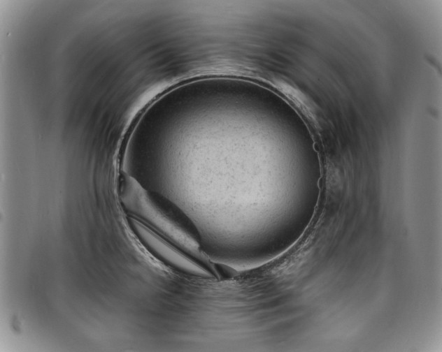 X0000098161238200804171551