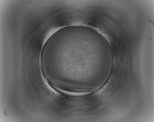 X0000098161239200804171551