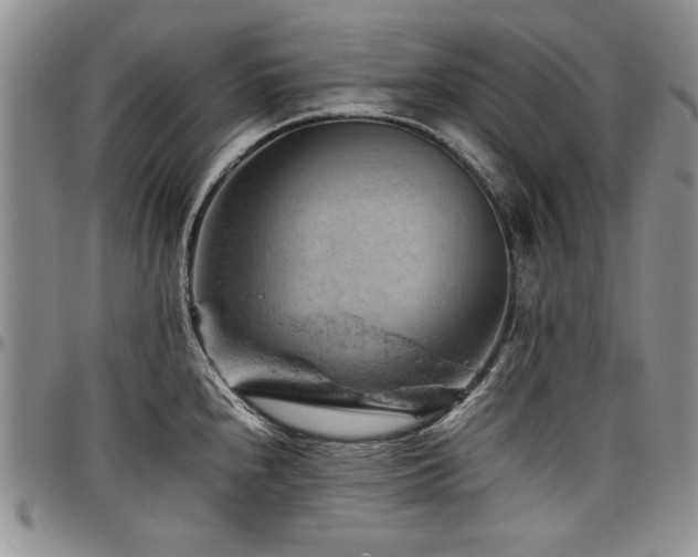 X0000098161240200804171551
