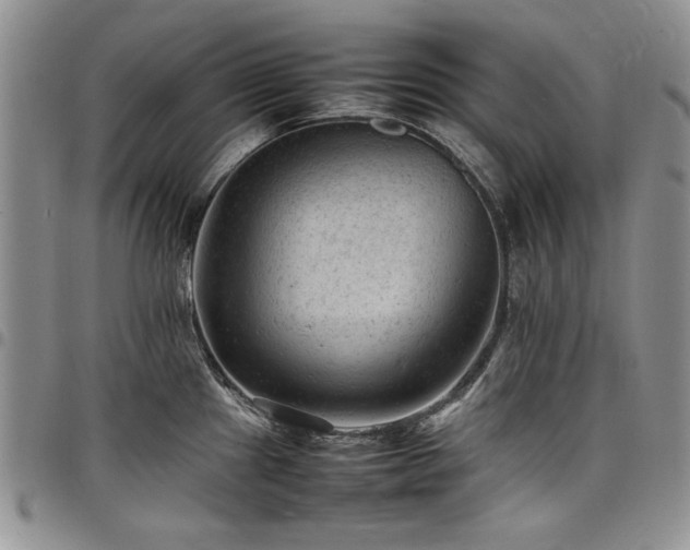 X0000098161241200804171551