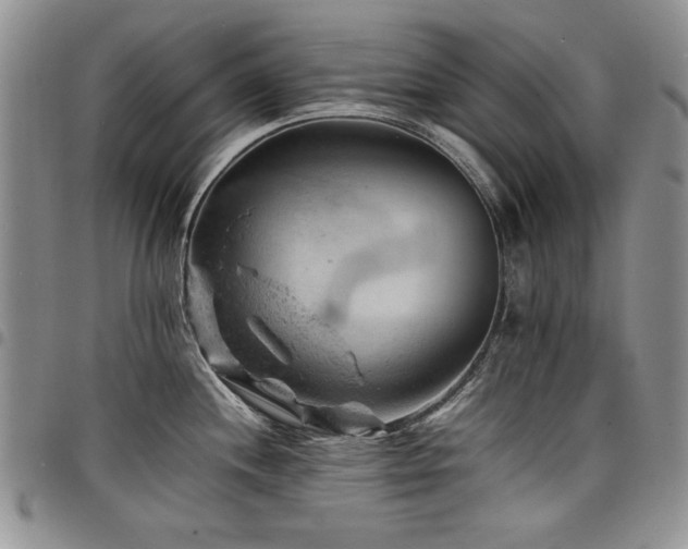 X0000098161244200804171551