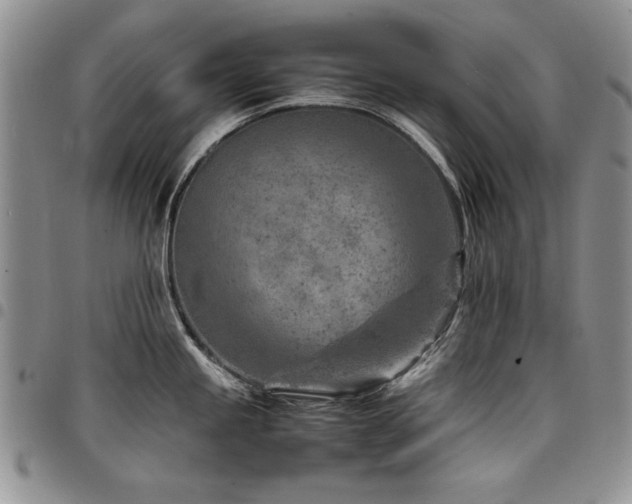 X0000098161245200804171551