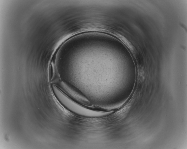 X0000098161246200804171551