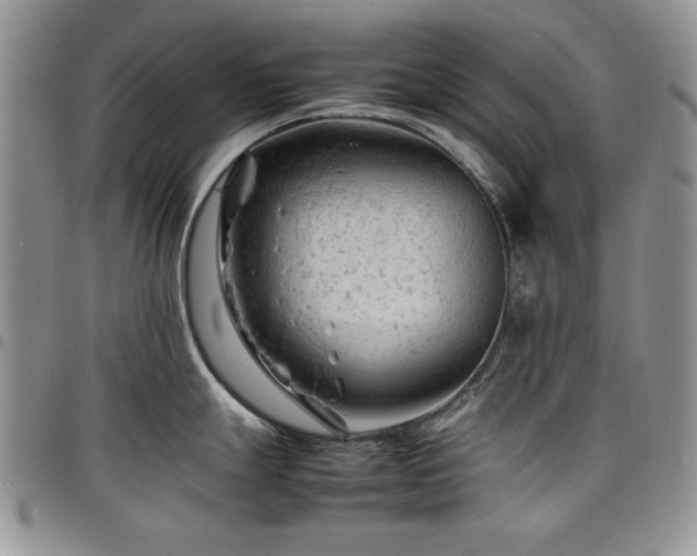 X0000098161247200804171551