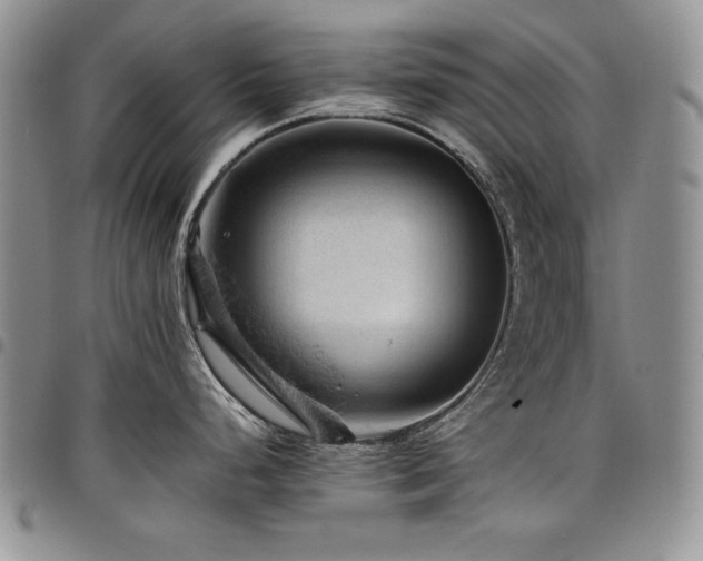 X0000098161248200804171551