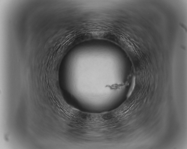 X0000098161249200804171550