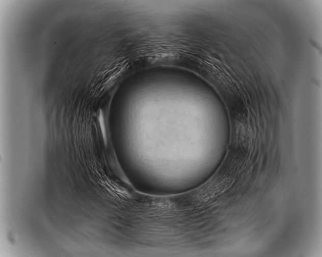 X0000098161250200804171550