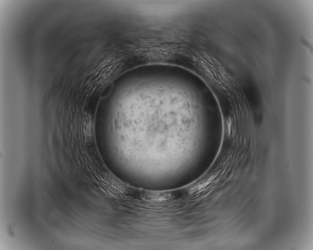 X0000098161251200804171550