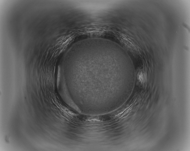 X0000098161252200804171550
