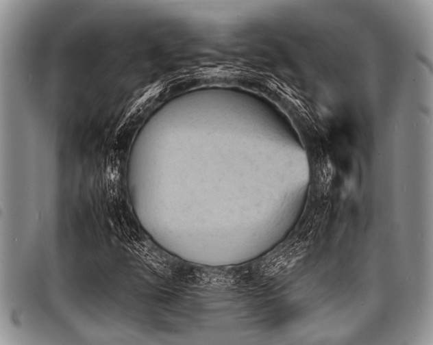 X0000098161254200804171550