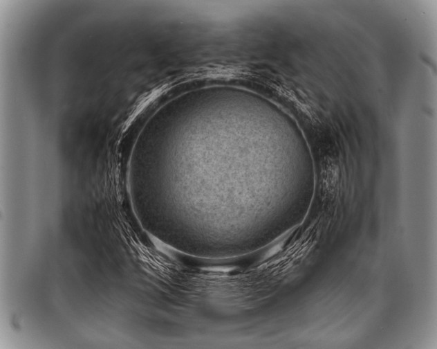 X0000098161256200804171550