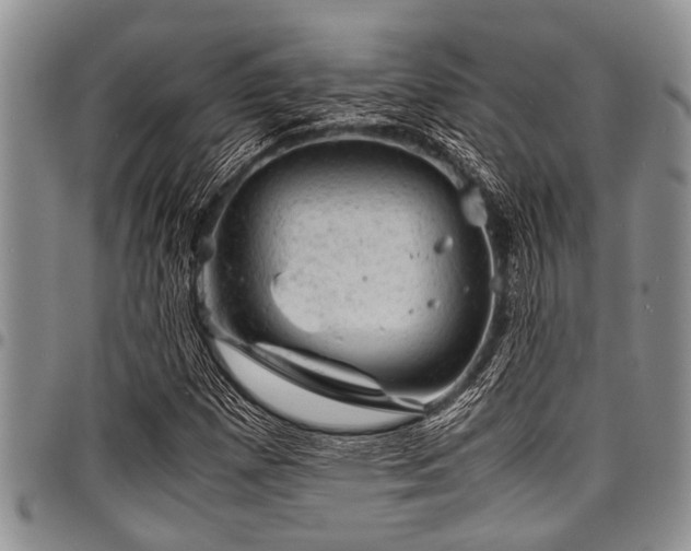 X0000098161257200804171550