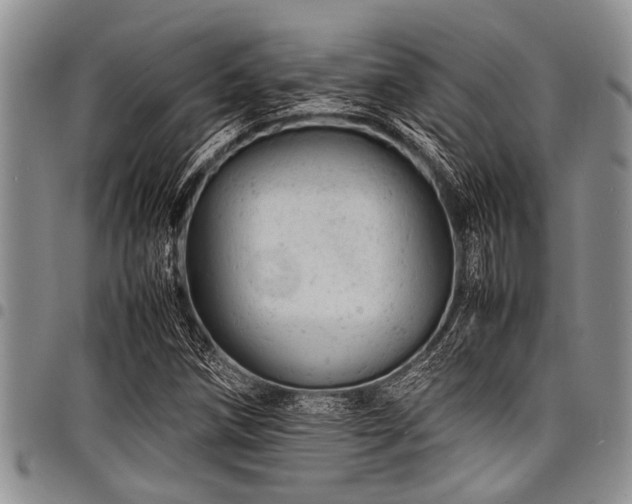 X0000098161258200804171550