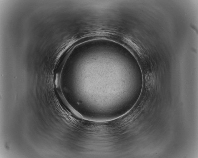 X0000098161260200804171550