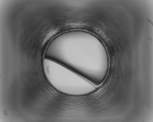 X0000098161261200804171550