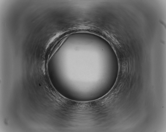 X0000098161262200804171550