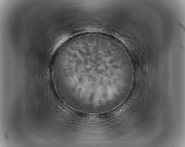 X0000098161263200804171550