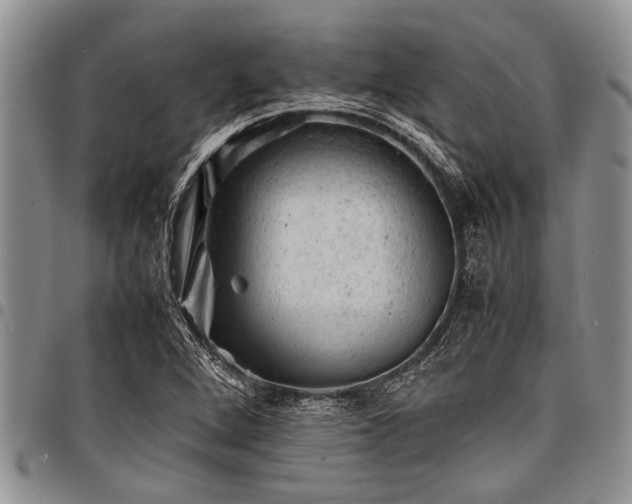 X0000098161264200804171550