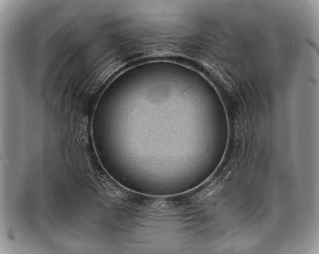 X0000098161265200804171550