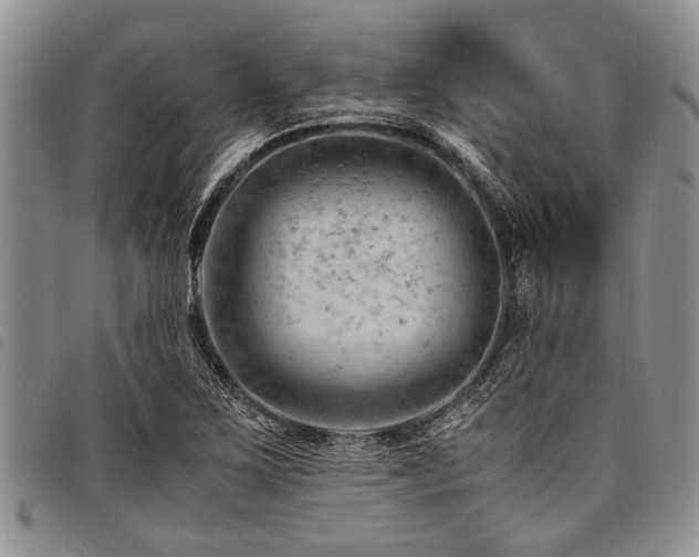 X0000098161267200804171550