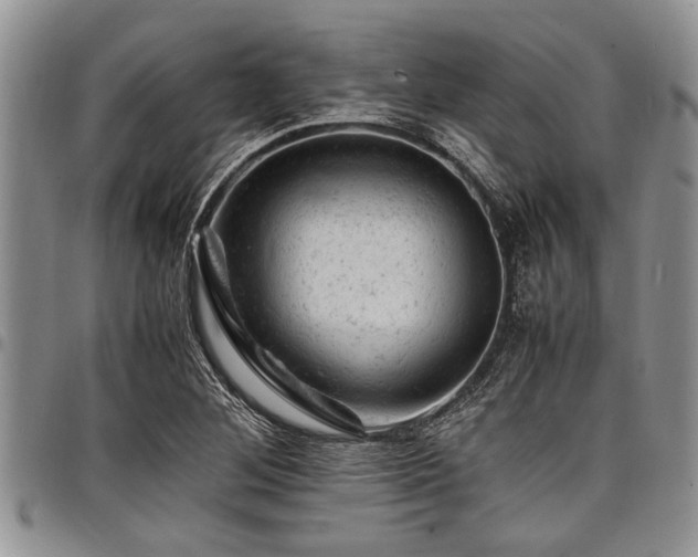 X0000098161268200804171550