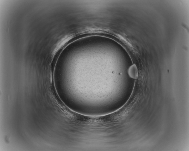 X0000098161269200804171550