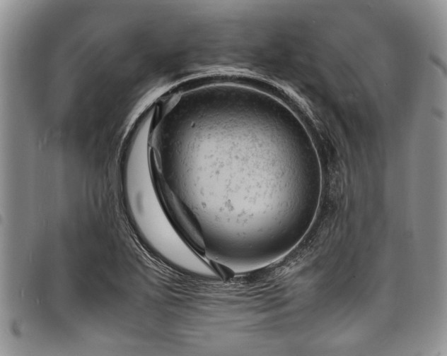 X0000098161271200804171550