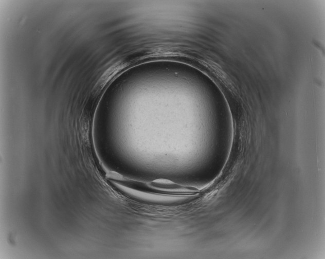 X0000098161273200804171550
