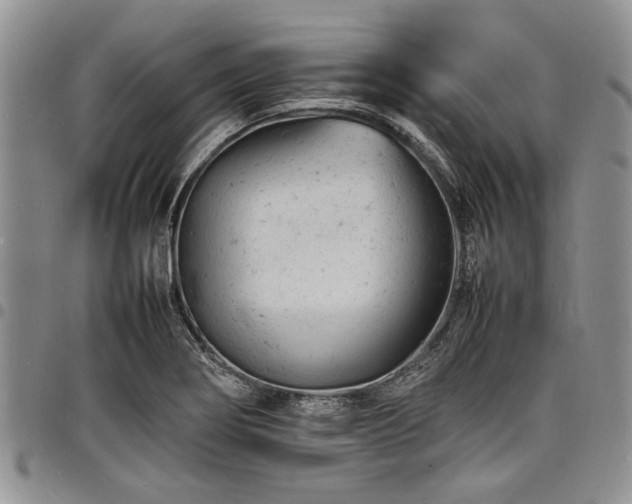 X0000098161274200804171550