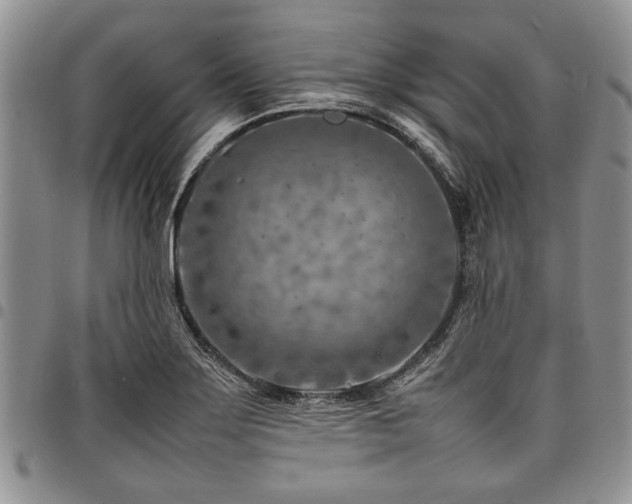 X0000098161275200804171550