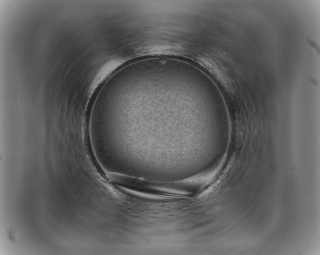 X0000098161277200804171550