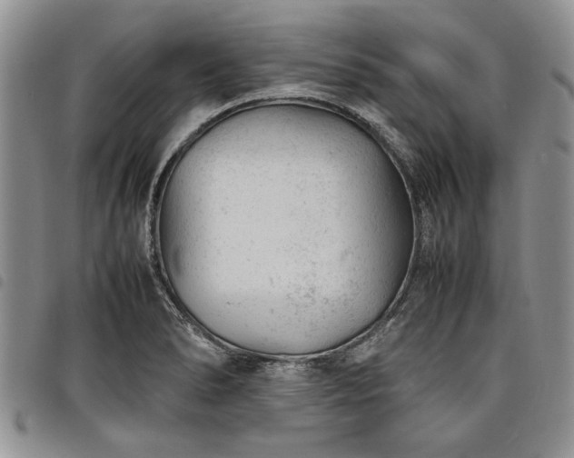 X0000098161278200804171550