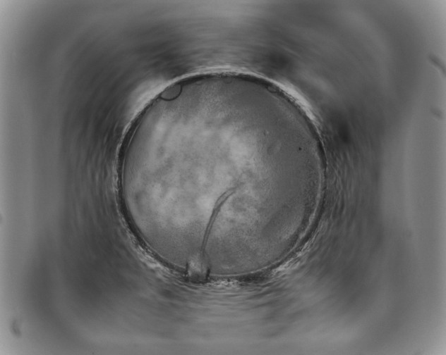 X0000098161279200804171550