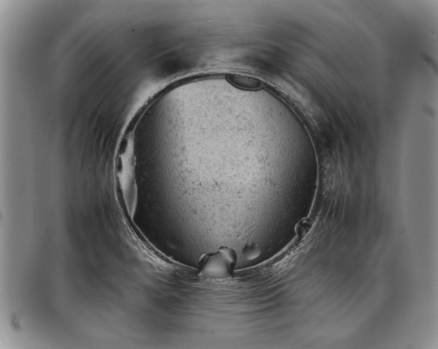 X0000098161280200804171550