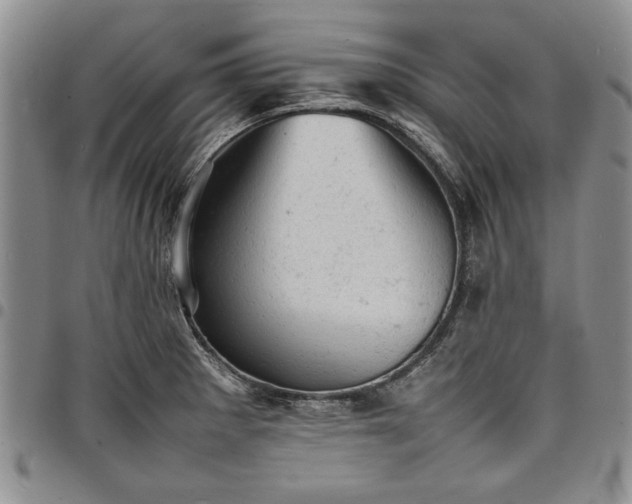 X0000098161281200804171550