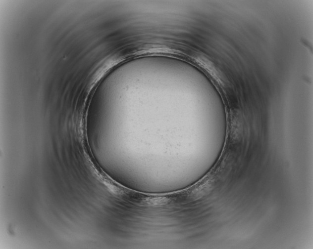 X0000098161282200804171550