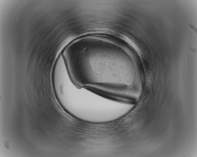 X0000098161283200804171550