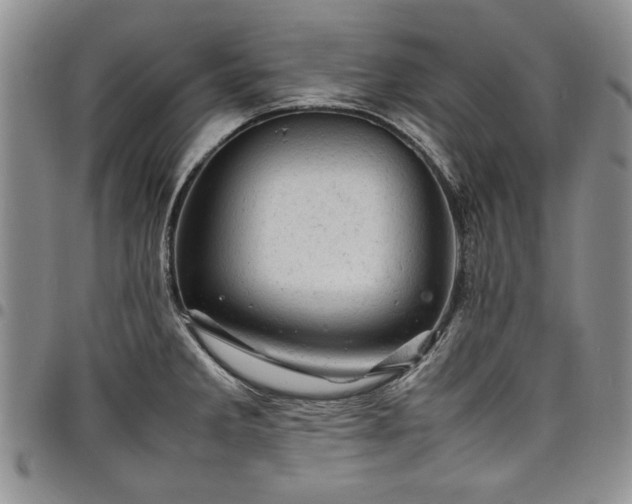 X0000098161285200804171550