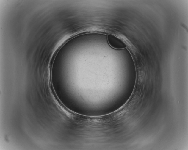 X0000098161286200804171550