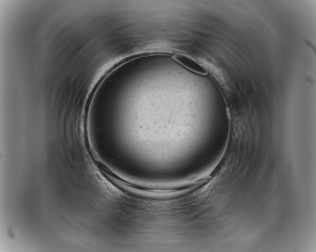X0000098161288200804171550