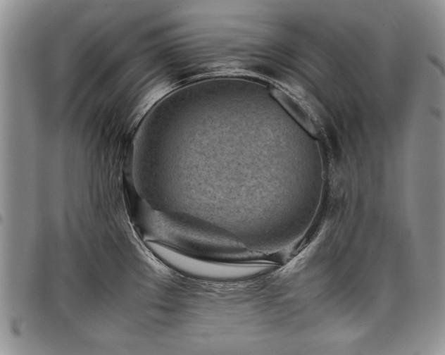 X0000098161289200804171550