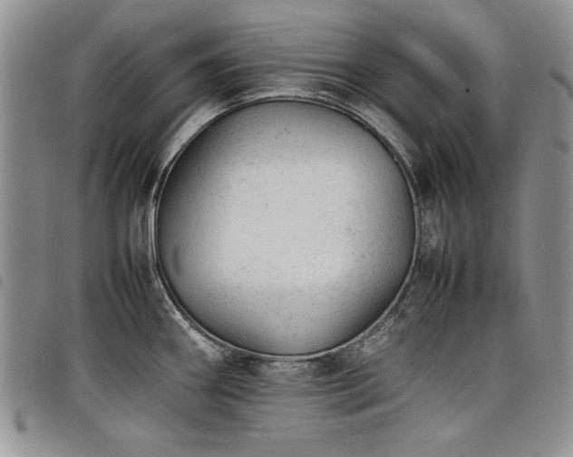 X0000098161290200804171550