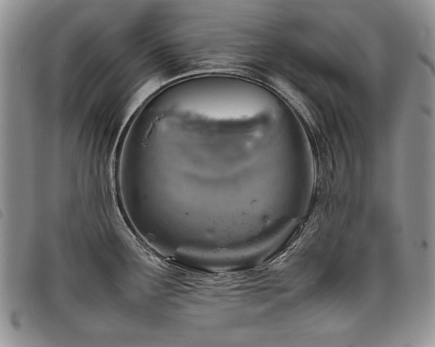 X0000098161291200804171550
