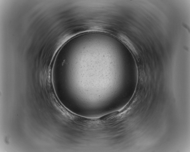 X0000098161292200804171550