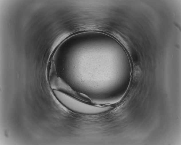 X0000098161293200804171550