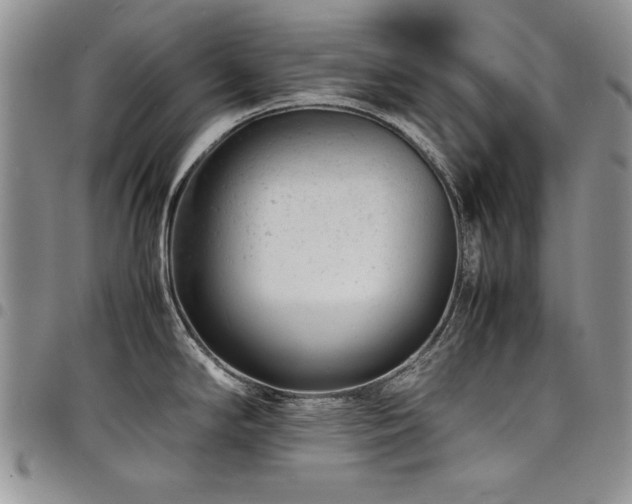 X0000098161294200804171550