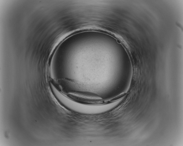X0000098161295200804171550