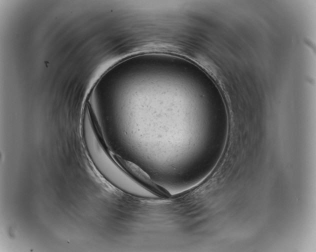 X0000098161296200804171550