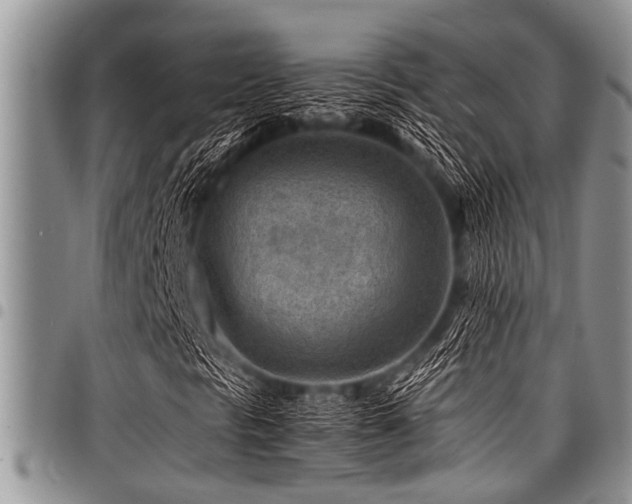 X0000098161297200804171549